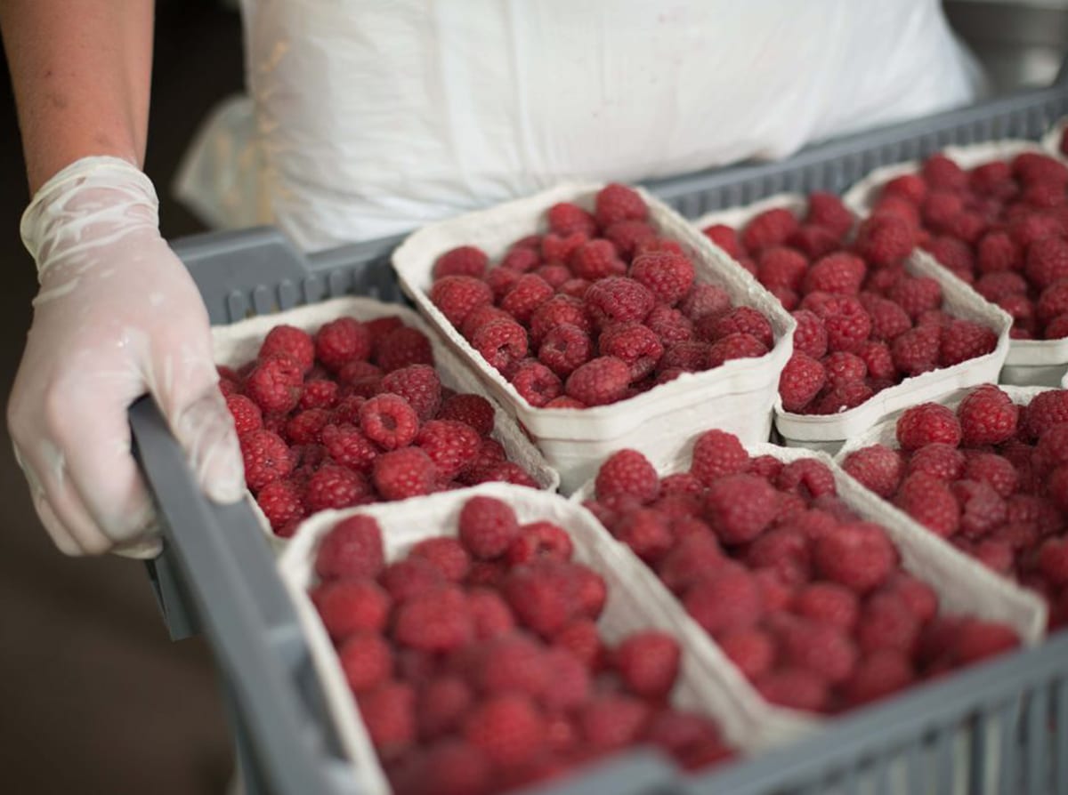 Carefully Selected Ingredients