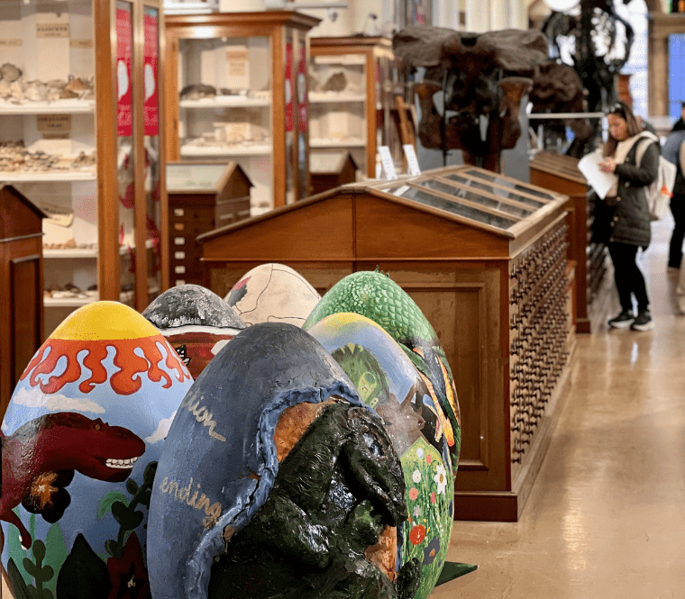 Continue to admire those giant eggs at the Sedgwick Museum