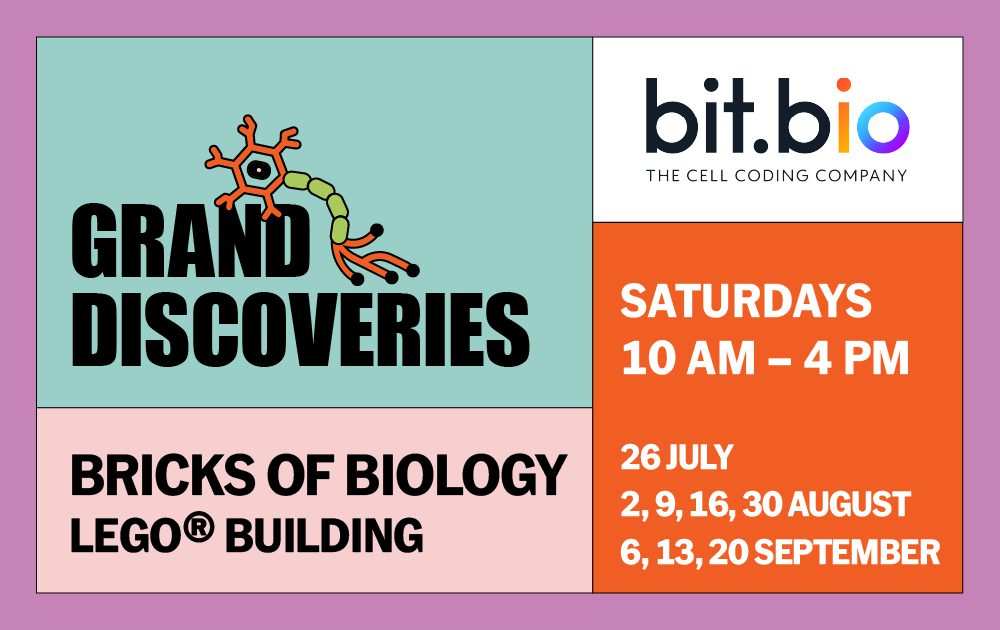 Bricks of biology – LEGO® building activities