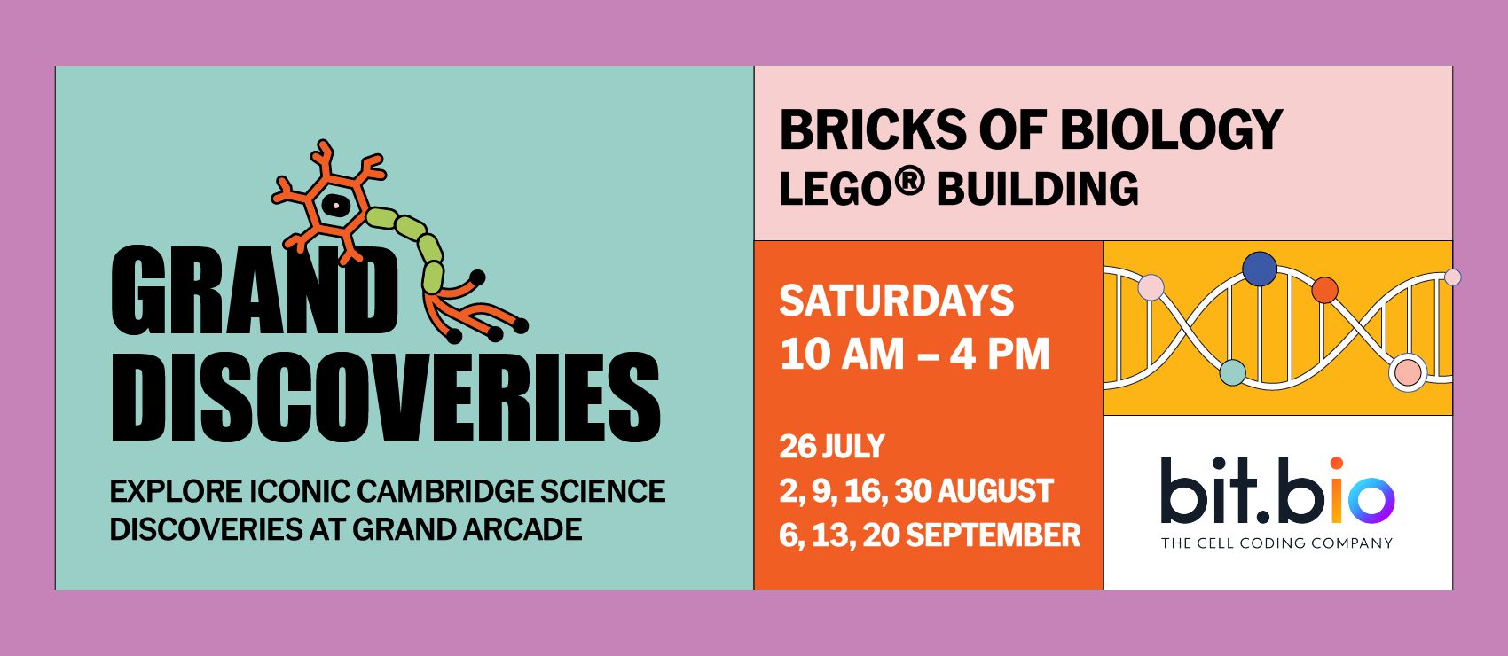 Bricks of biology – LEGO® building activities